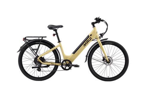 VELO ELECTRIQUE MOLLY 500W