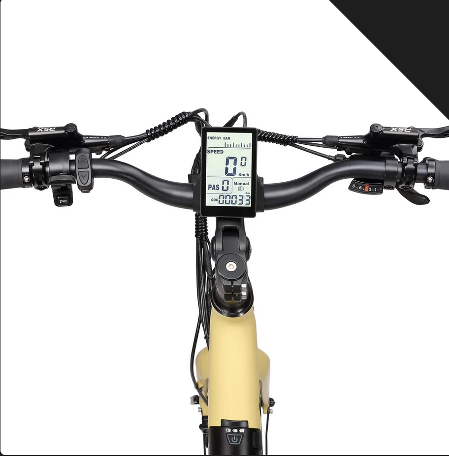 VELO ELECTRIQUE MOLLY 500W