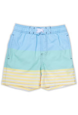 shade critters SC Boys Swim Trunks