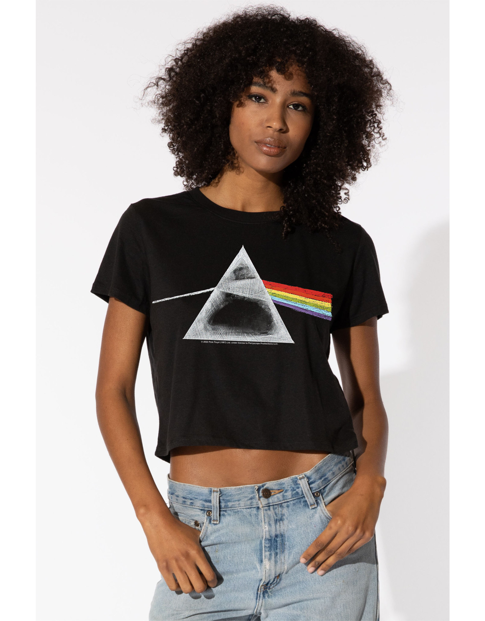 suburban riot SUR Pink Floyd Chalk Dylan Tee