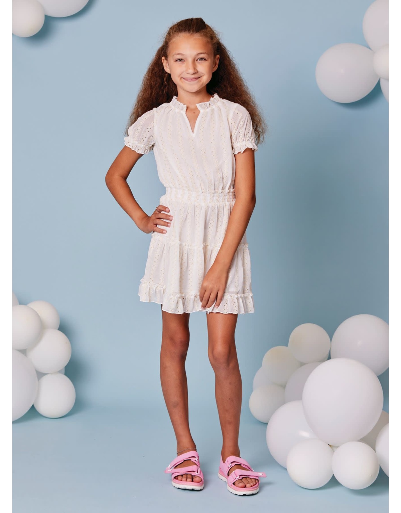 Little Girl White Eyelet Dress