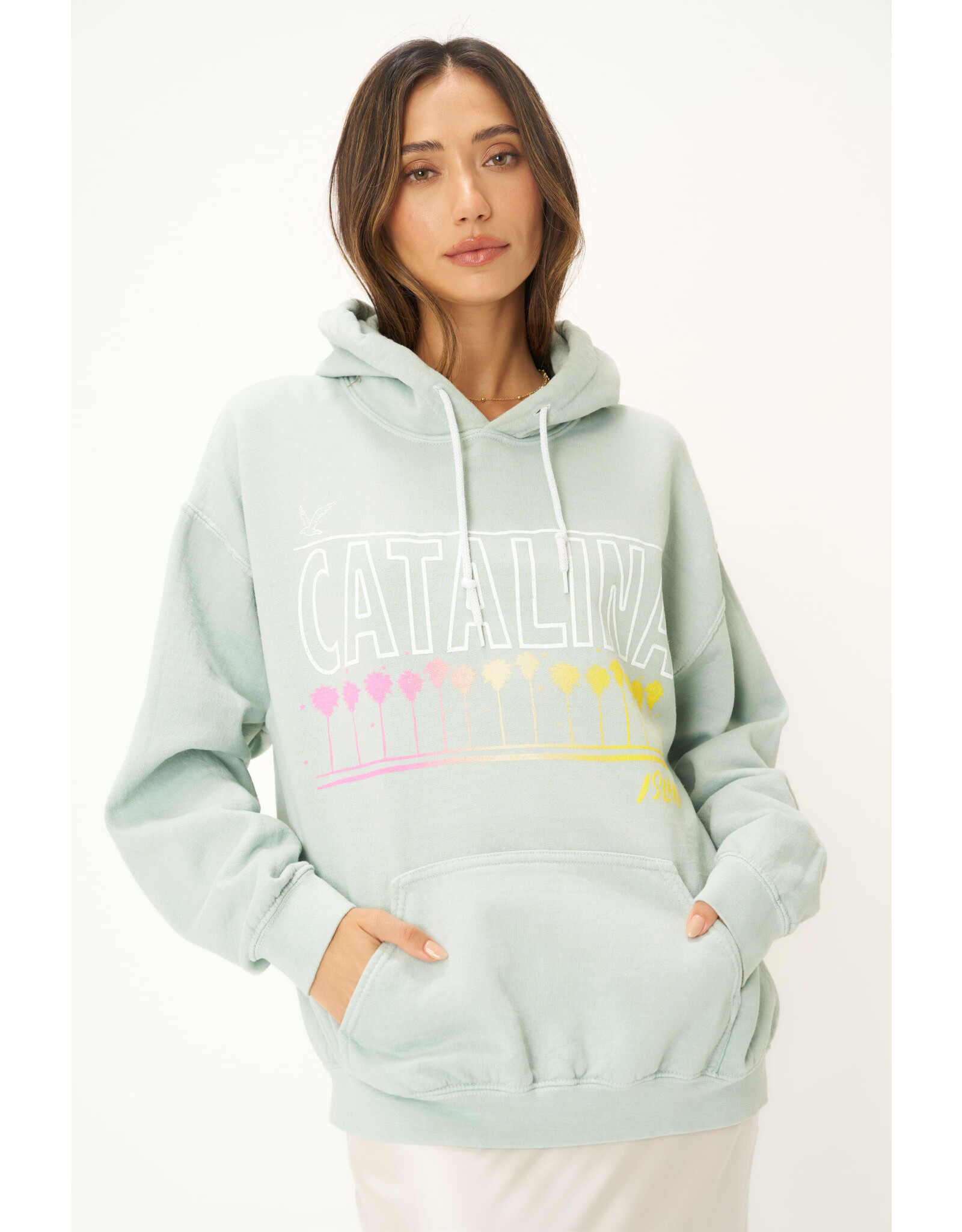 project social tee PST Catalina Hoodie