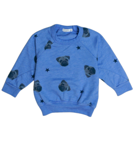 CZI Baby Pug Sweatshirt