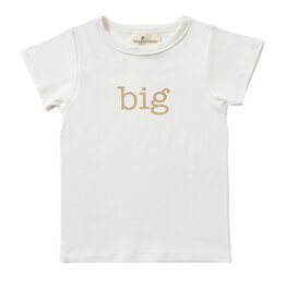 Tiny Victories TV Big Tee