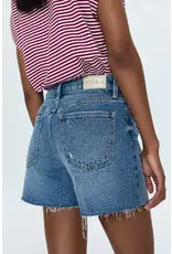 pistola PSTLA Kennedy Shorts