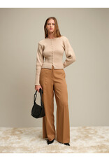 Deluc Deluc Jack Cardi