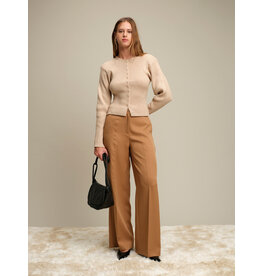 Deluc Deluc Jack Cardi