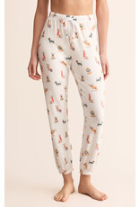 Z supply ZS Classic Pup Jogger