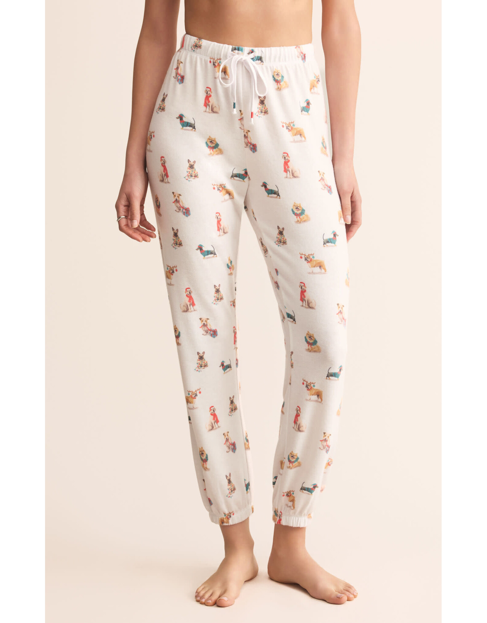 Z supply ZS Classic Pup Jogger