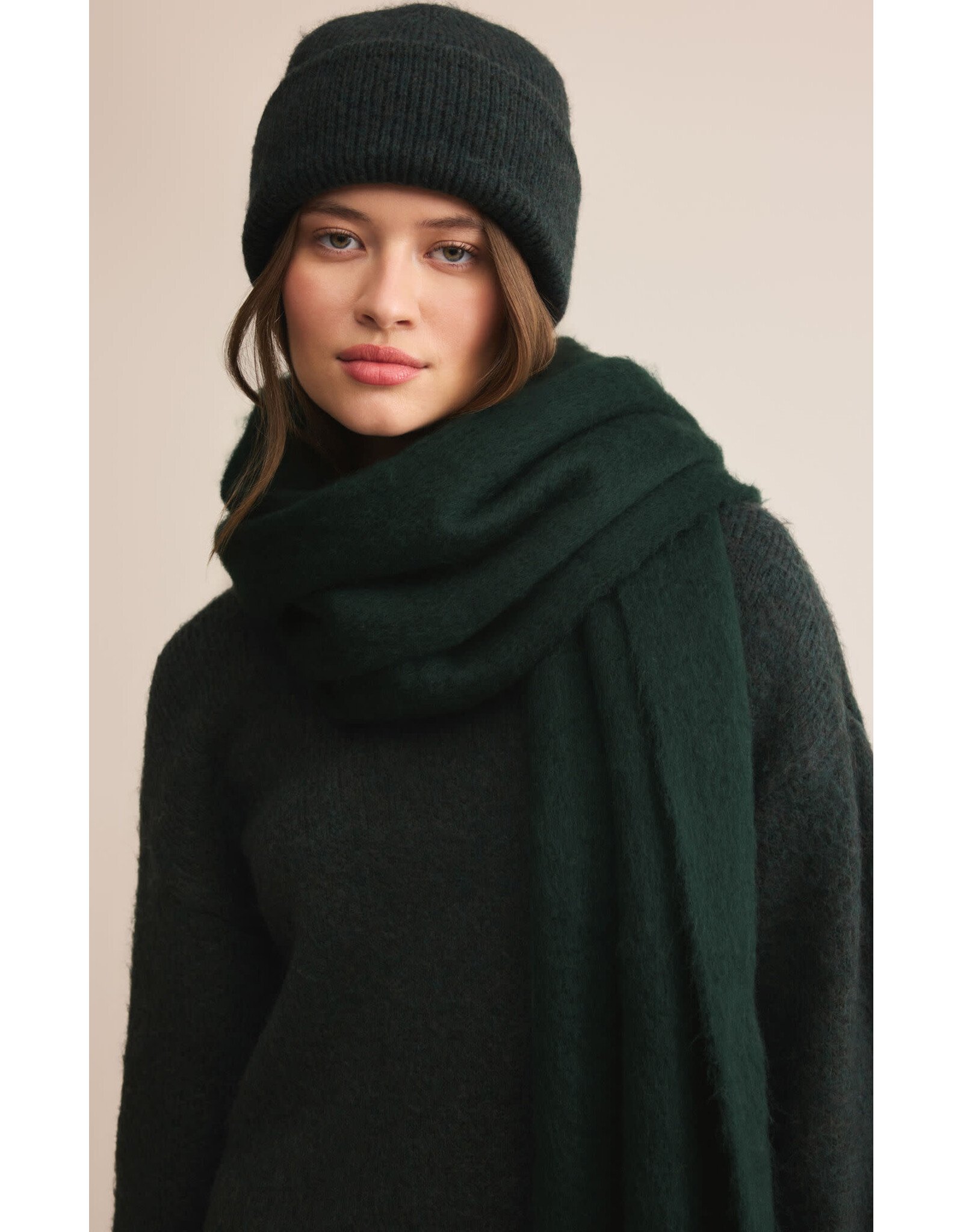 Z supply ZS Glacier Beanie