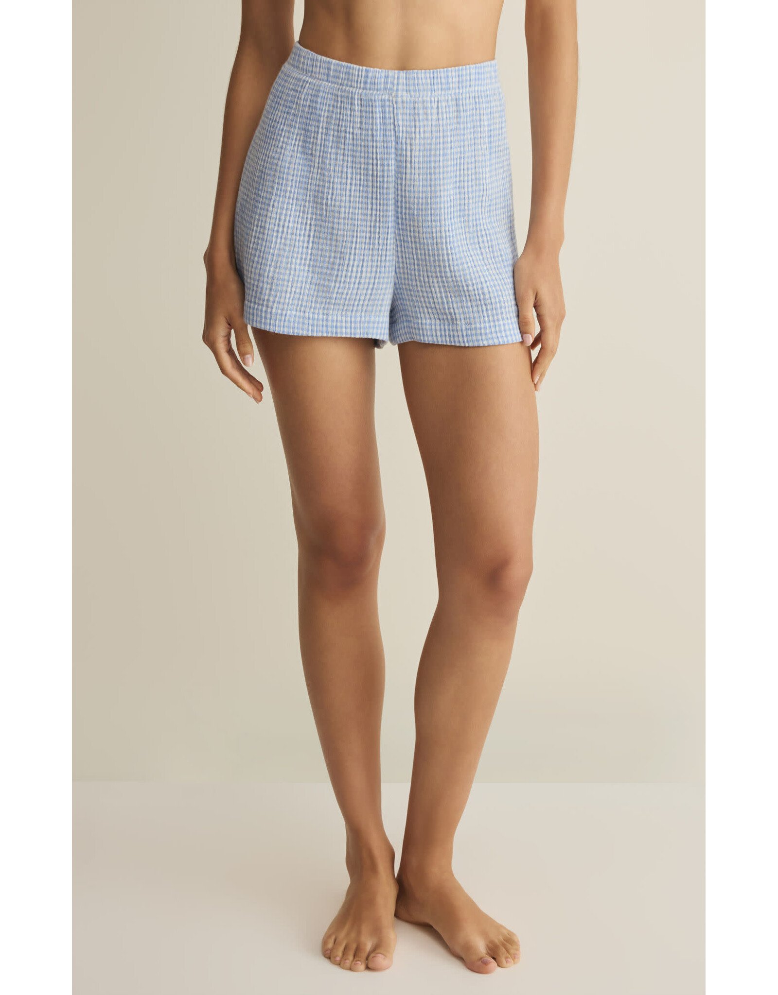 Z supply ZS Classic Gingham Short