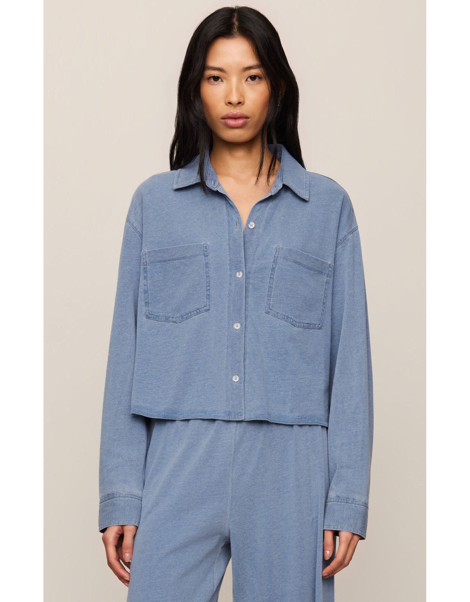 Z supply ZS Reese Denim Button Up