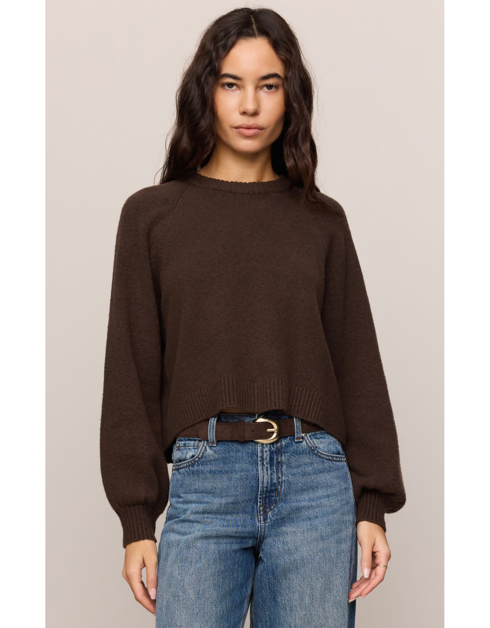 Z supply ZS Coming Up Sweater