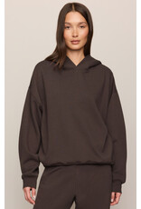 Z supply ZS First Quarter Hoodie