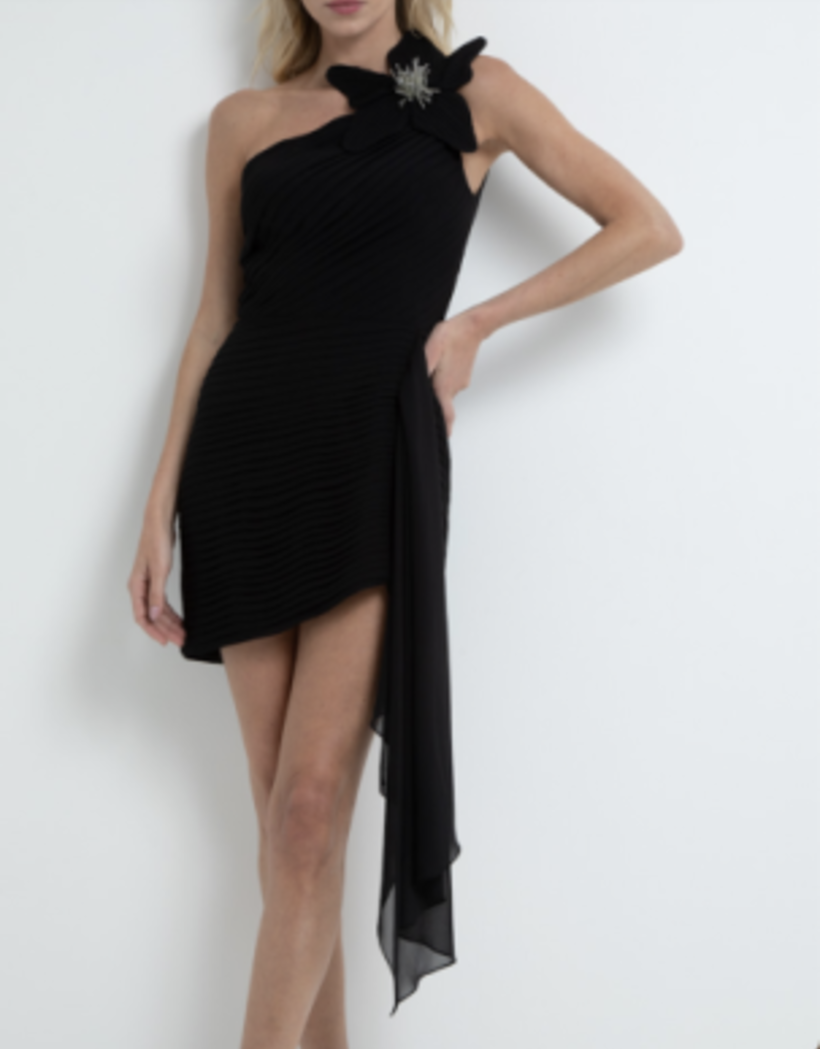 PatBo Flower Applique Mini Dress