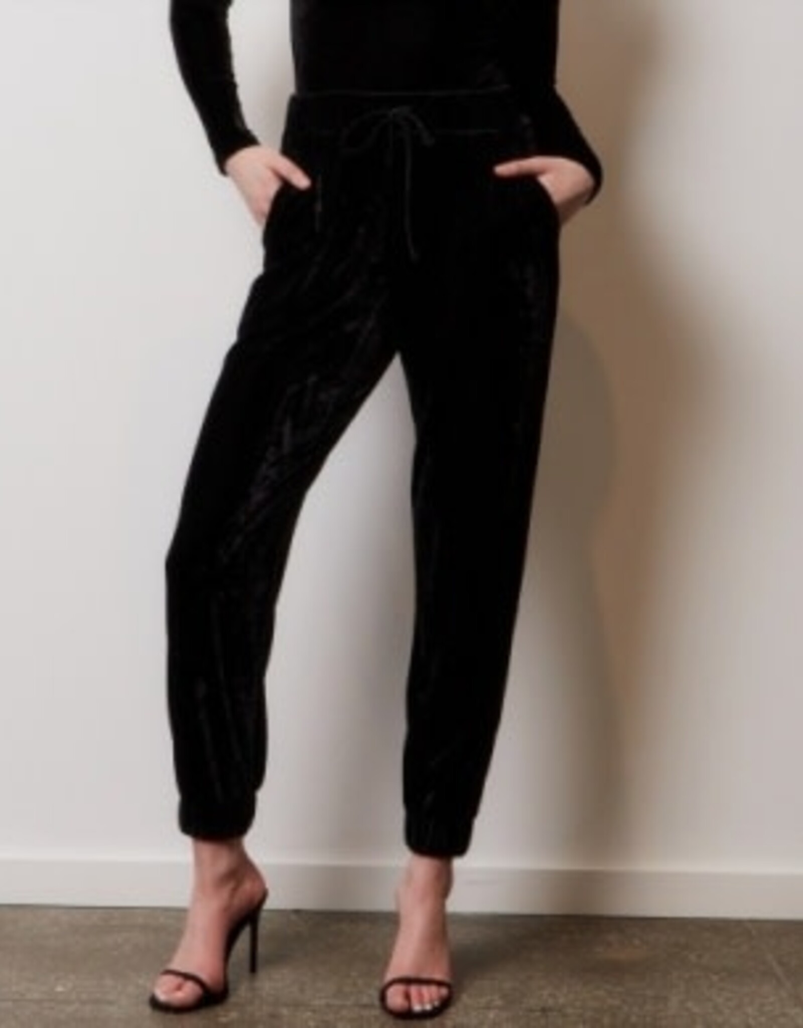 PatBo Luxe Velvet Jogger