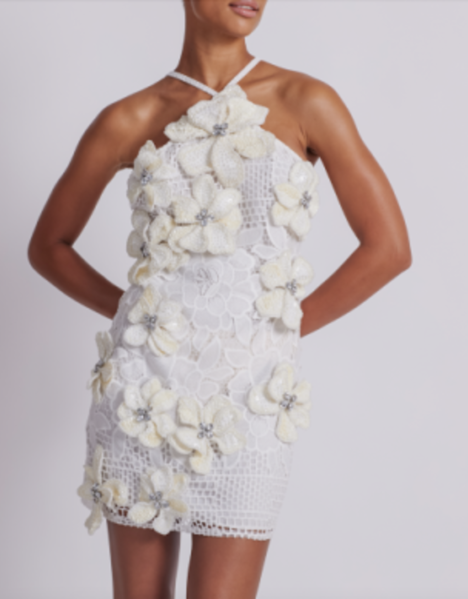 PatBo Flower Embroidered Mini Dress