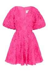 AJE. Florential Mini Swing Dress