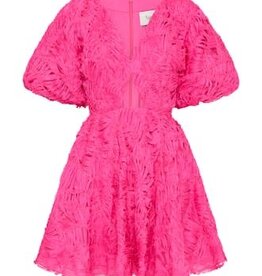 AJE. Florential Mini Swing Dress