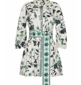 Cara Cara Raya Mini Dress