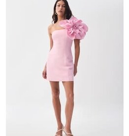 AJE. Florence Mini Dress