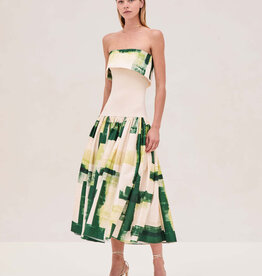 Alexis ROBIA-DRESS-GREEN BRUSHSTROKE