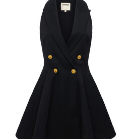 L'AGENCE ROYALTY FIT & FLARE MINI DS