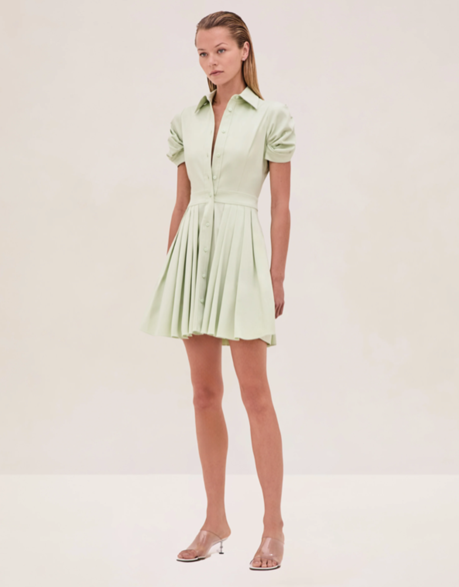Alexis April Dress