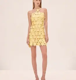 Alexis Lily Dress
