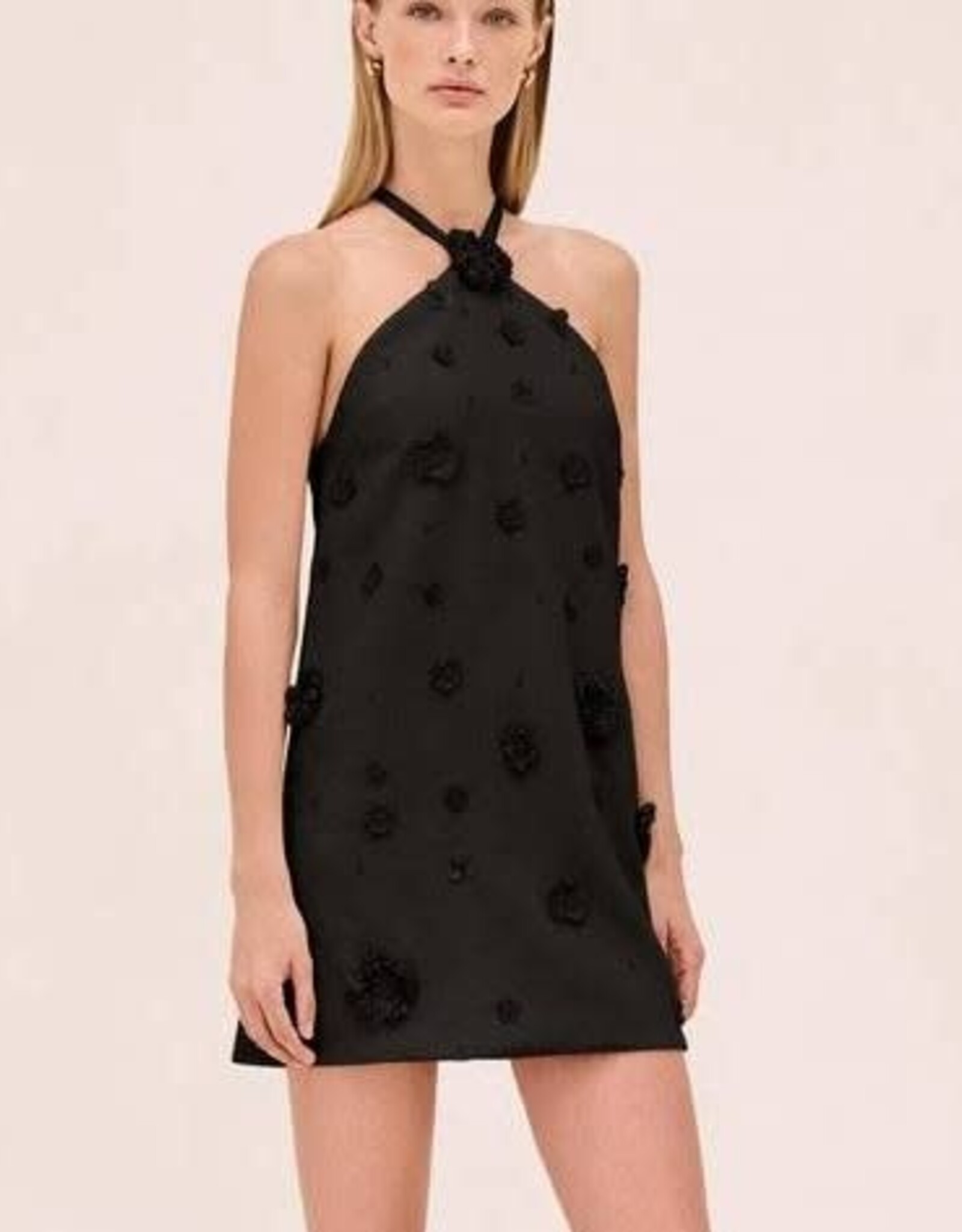 Alexis Milaa Dress