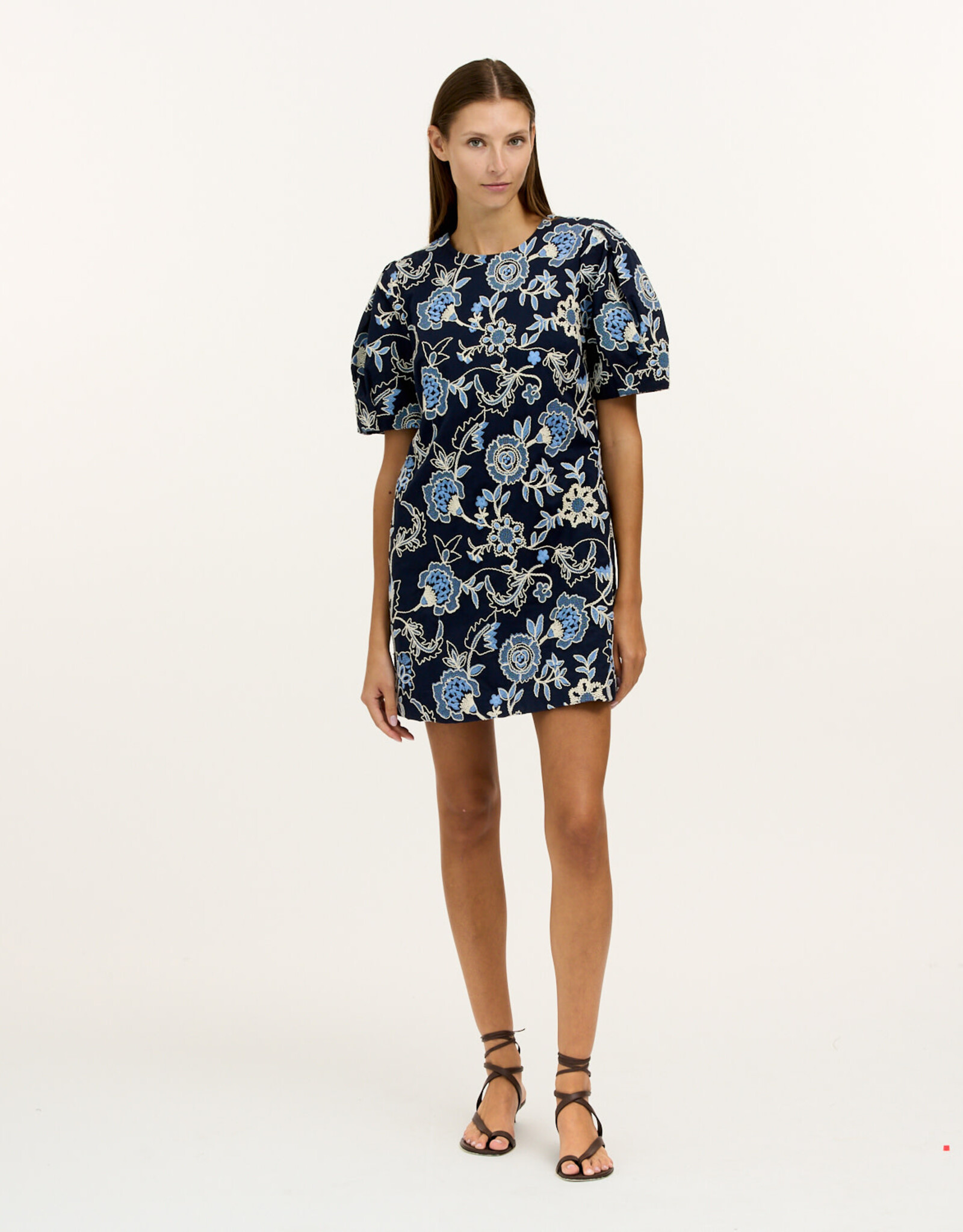 Tanya Taylor Noah Dress