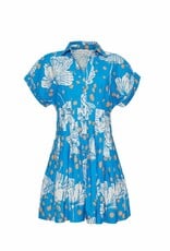 Cara Cara Nash Mini Dress