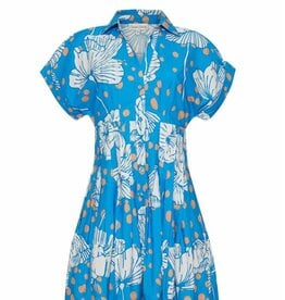 Cara Cara Nash Mini Dress