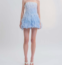 AJE. Temperance Mini Dress