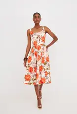 Cara Cara Regio Dress