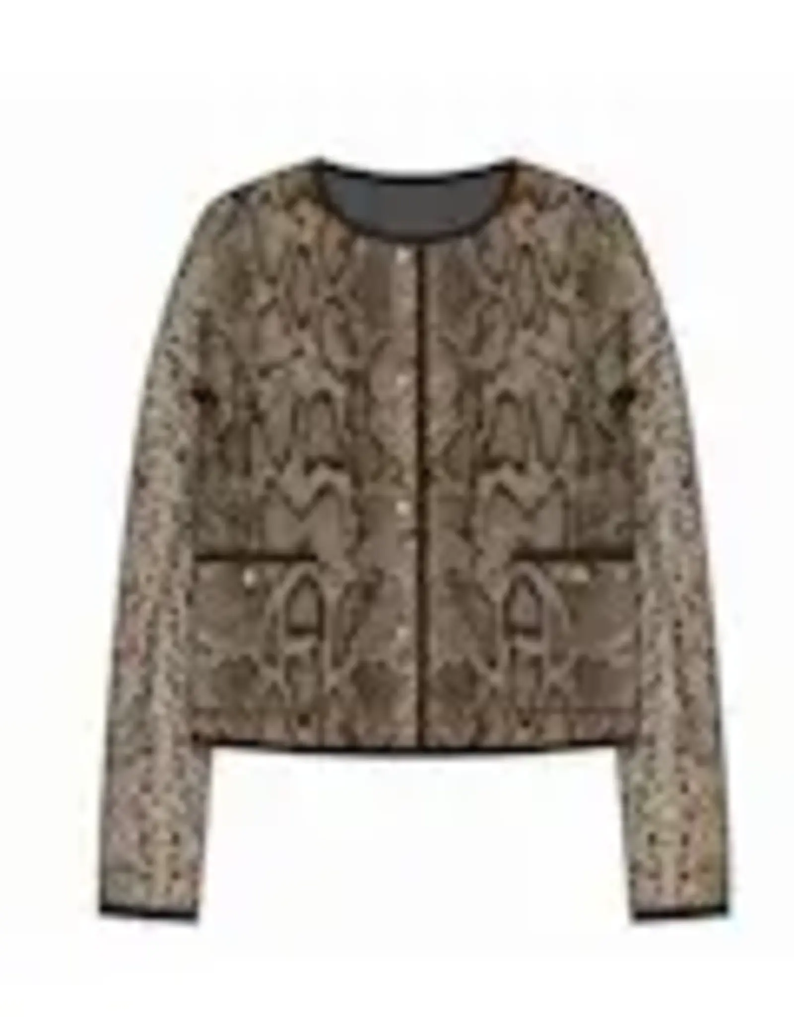 Cara Cara Bristol Cardigan