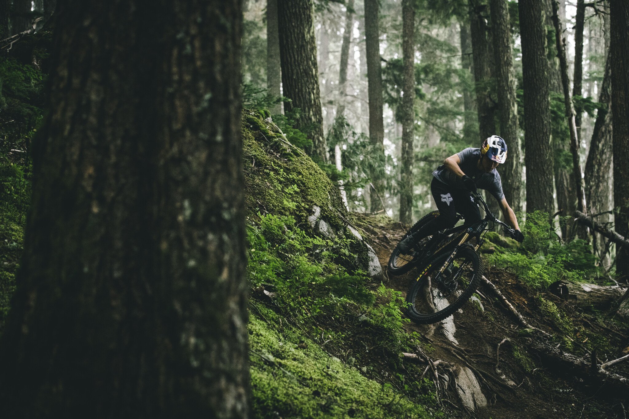 Dundas Speed Shop-eMTB