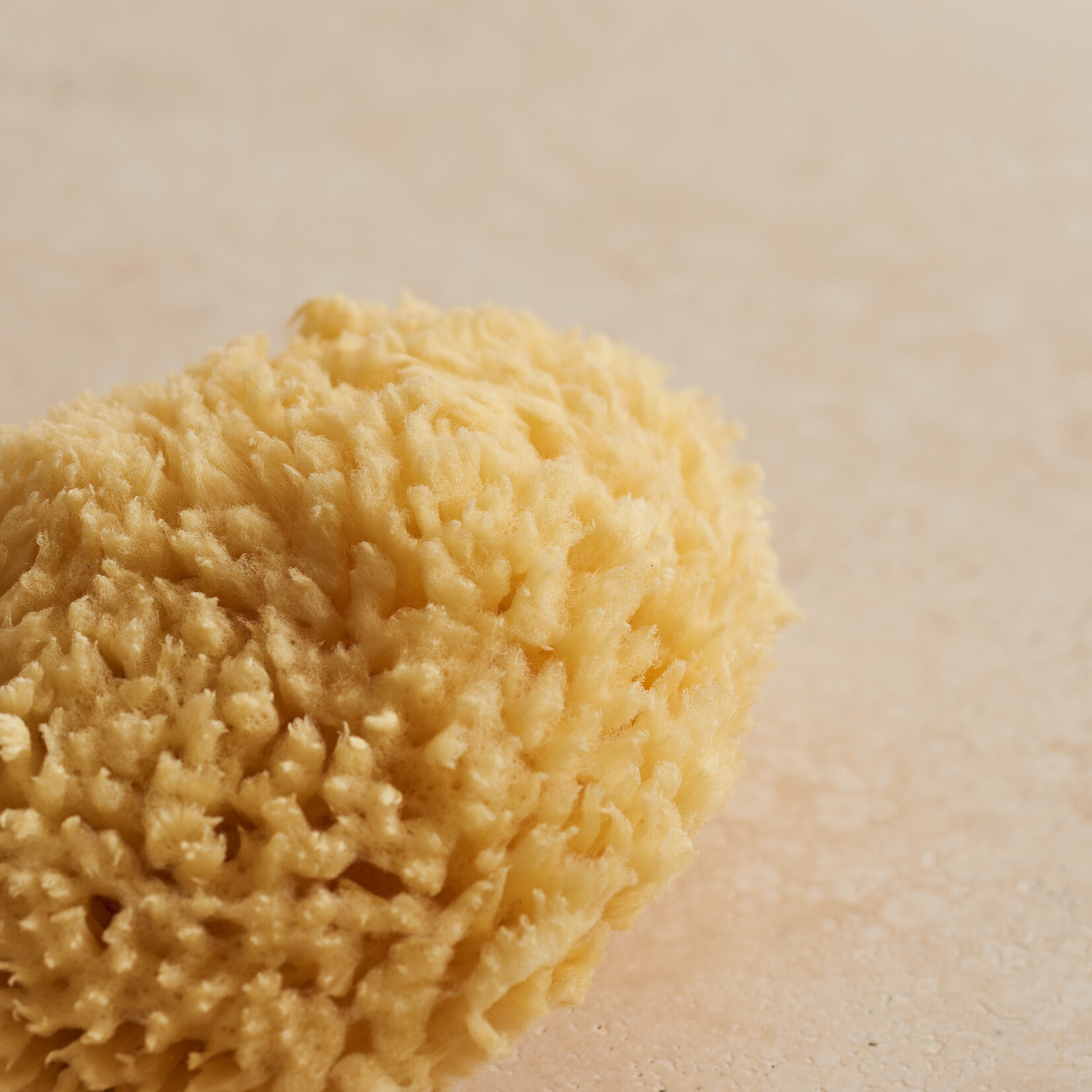 Bath Sea Sponge Loofah - medium