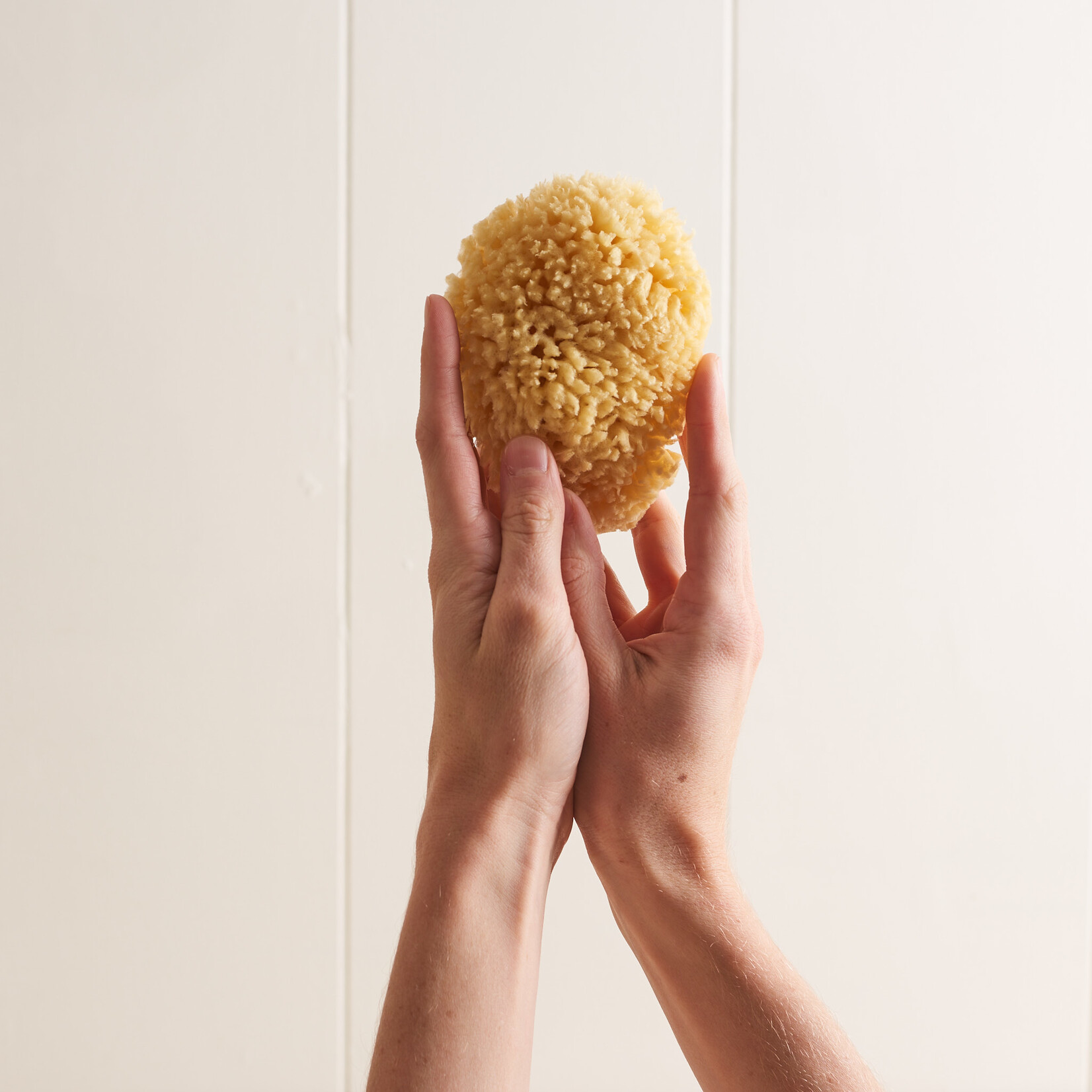 Bath Sea Sponge Loofah - medium