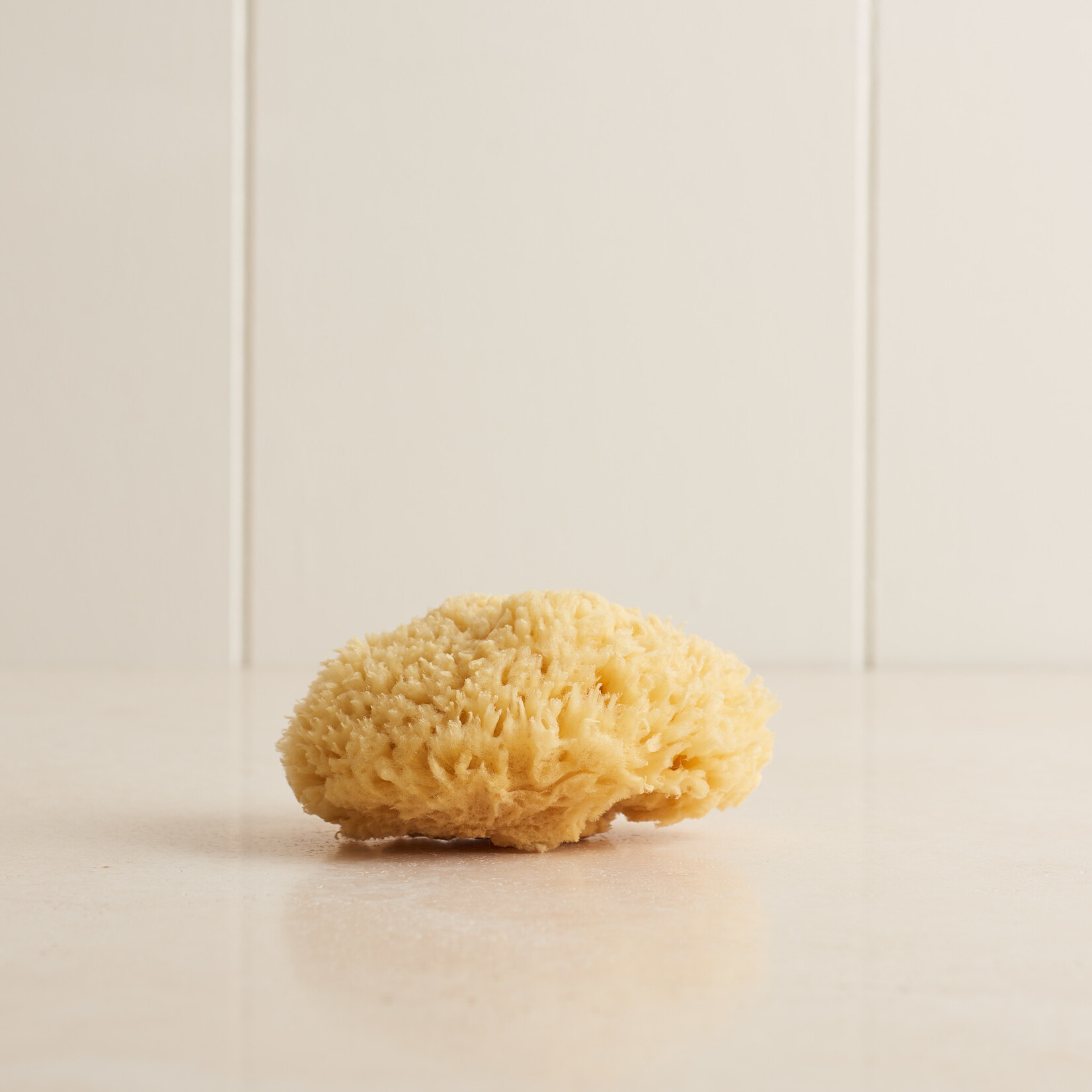 Bath Sea Sponge Loofah - medium