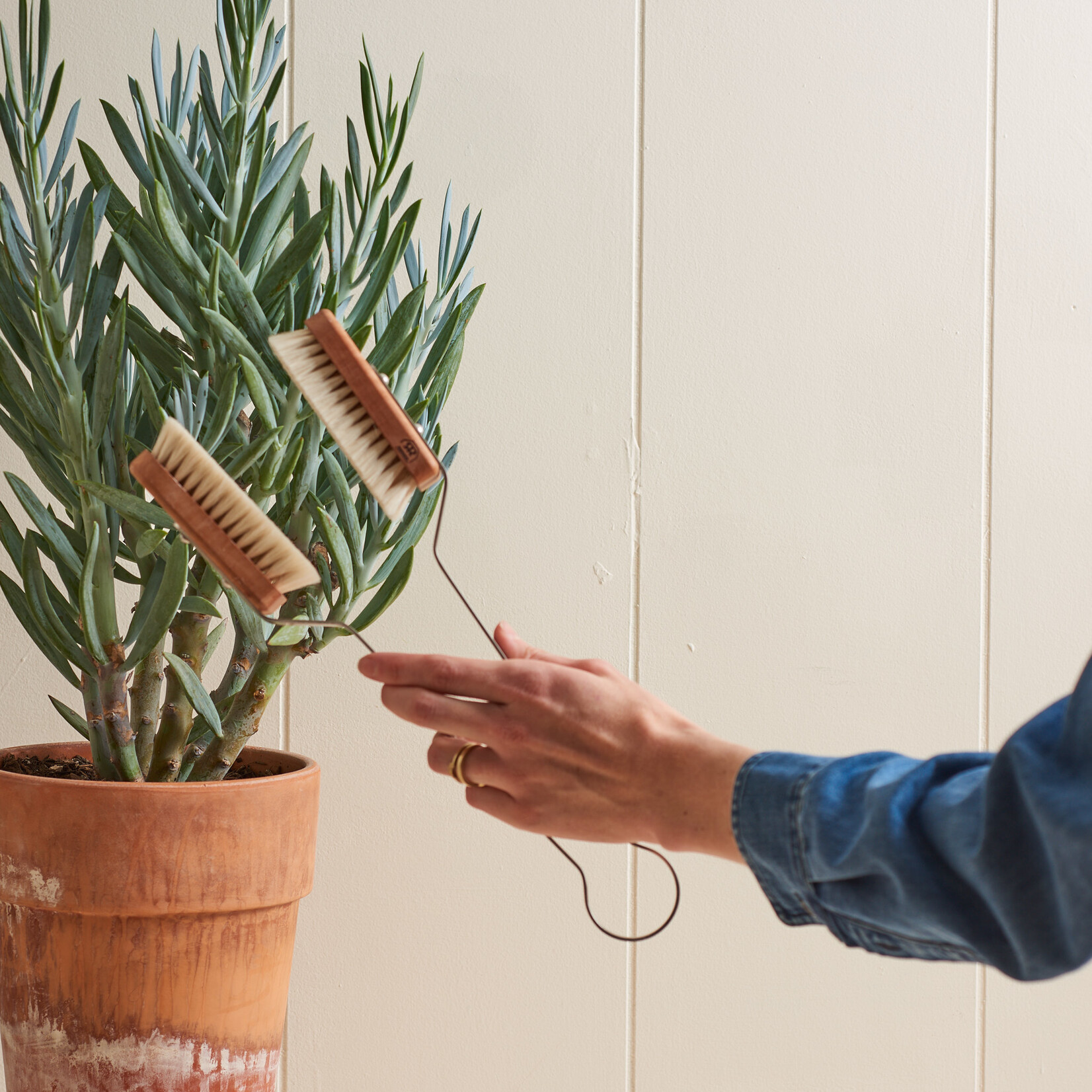 Houseplant Duster