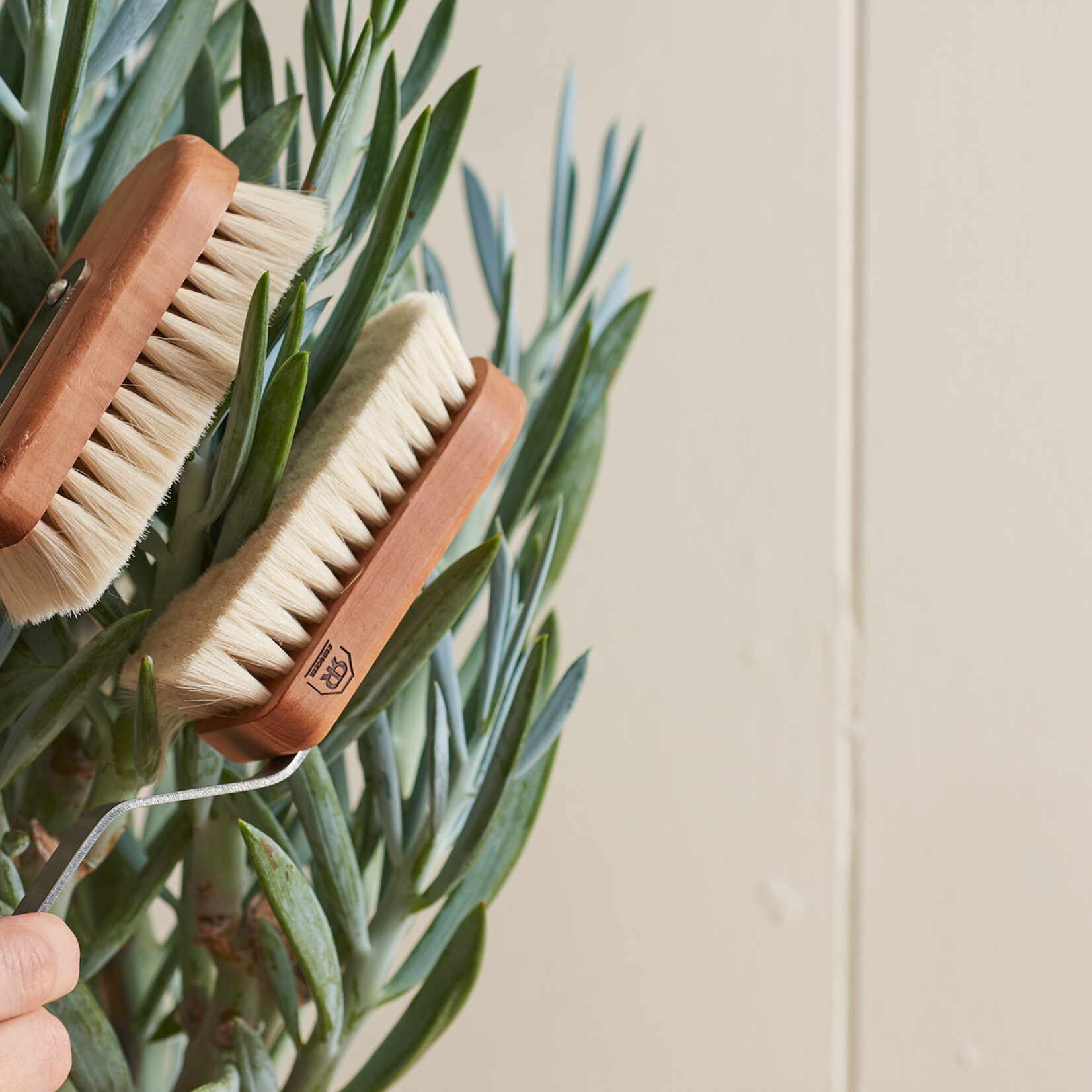 Houseplant Duster