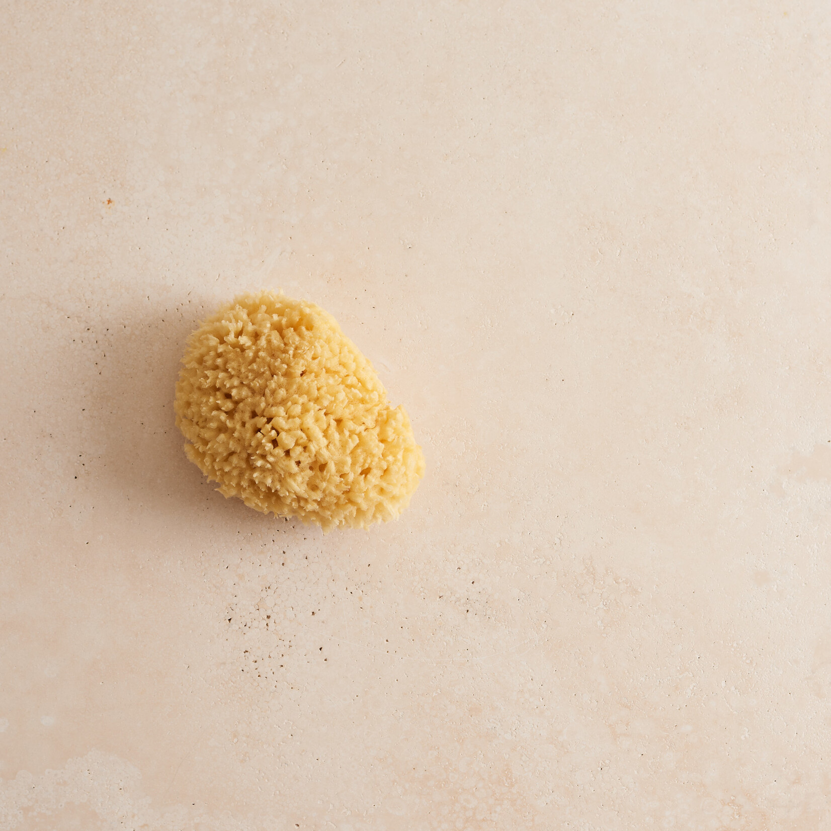 Bath Sea Sponge Loofah - medium