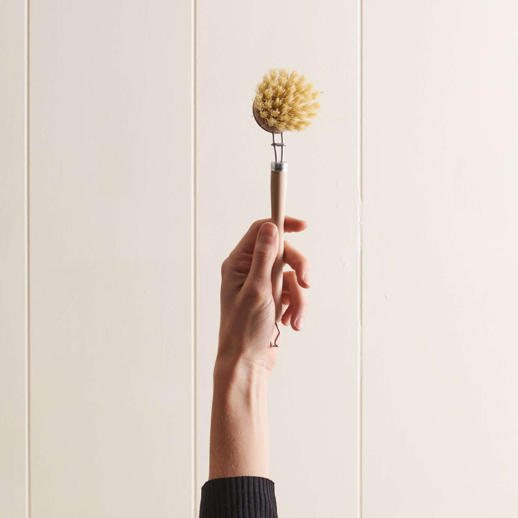 Everyday Dish brush with Replaceable Bristles