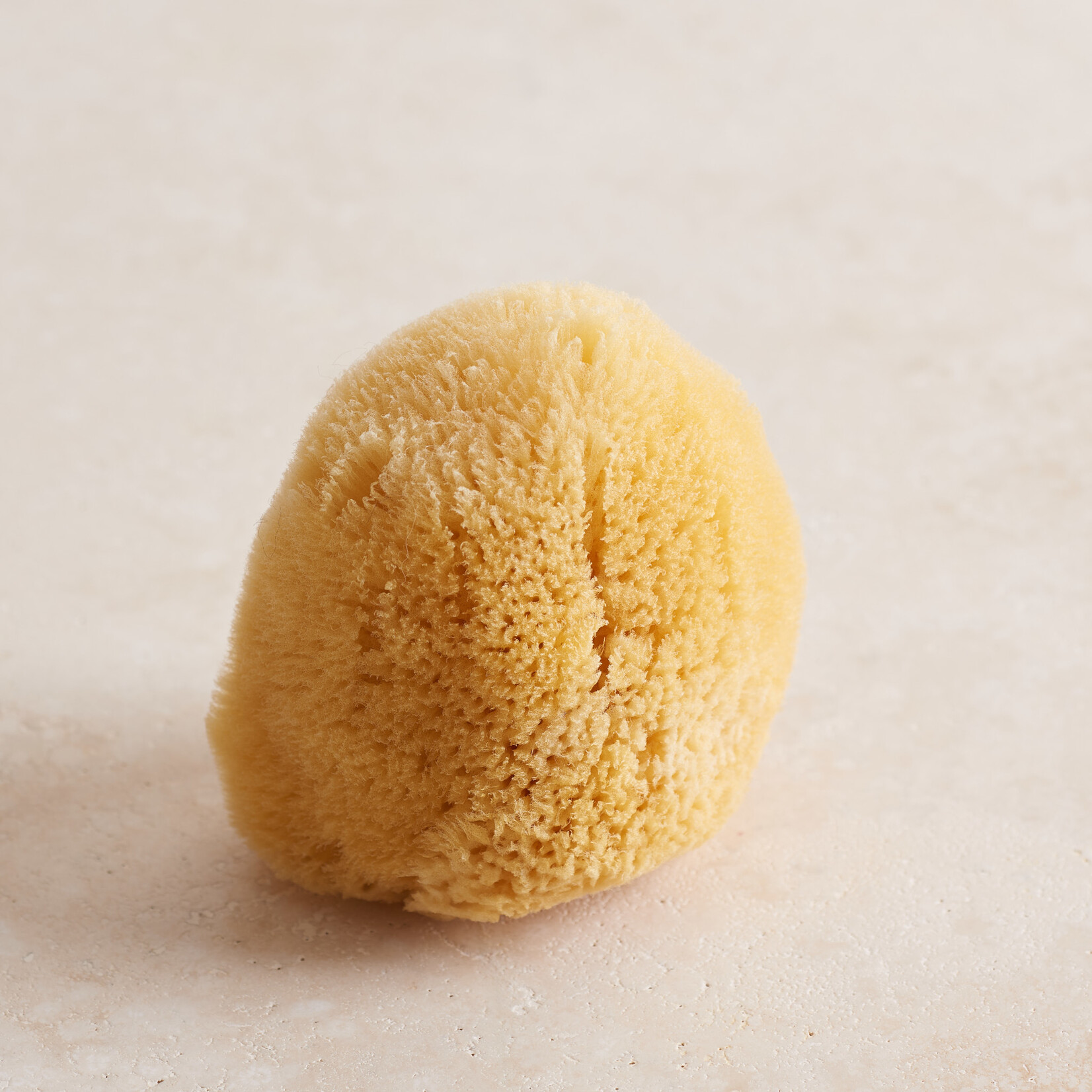 Sea Sponge - small