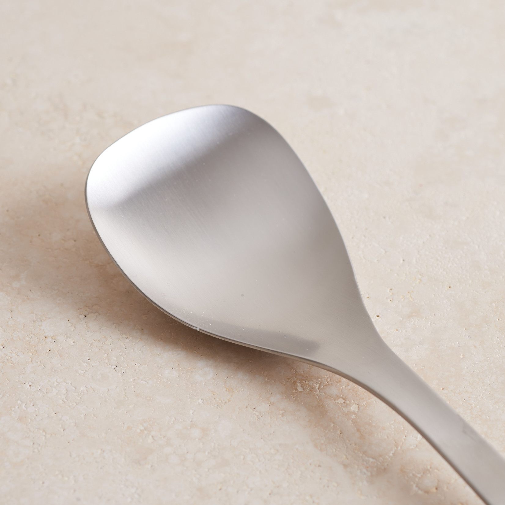 Long Handled Serving Spoon