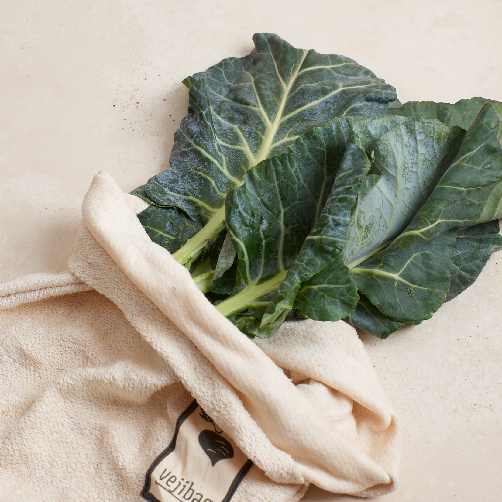 Vegetable Crisper Bag- large