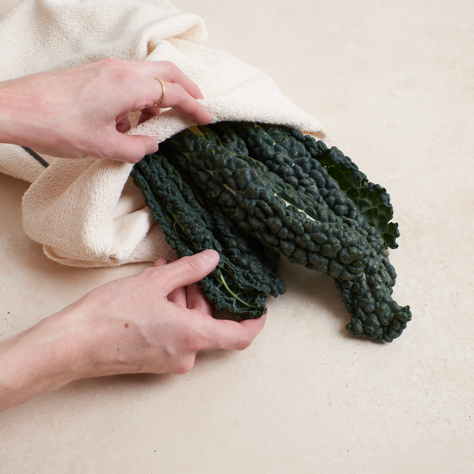 Vegetable Crisper Bag- extra large