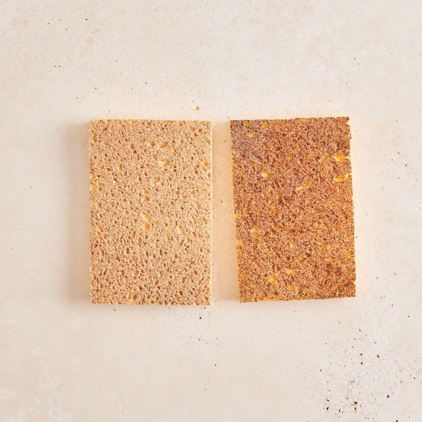 Biodegradable Scrubbing Sponge