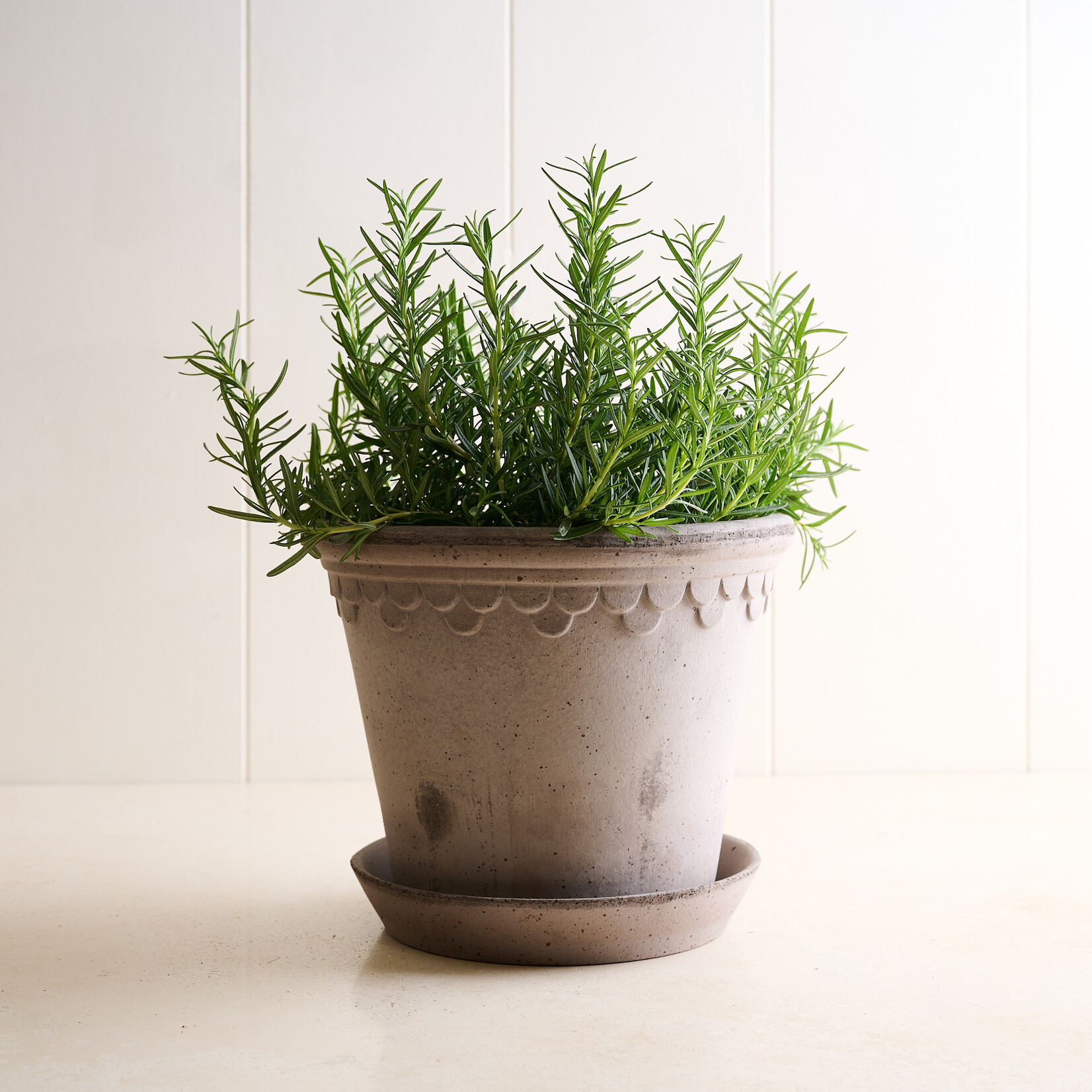 Terracotta Noble Planter - slate 9.8 inches